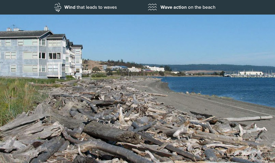 Beach showing low erosion risk