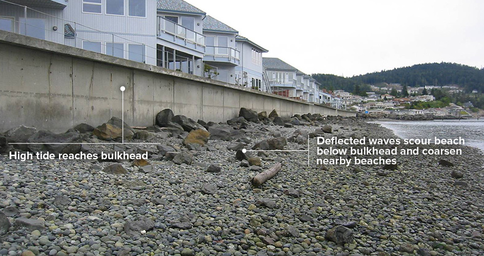 Bulkhead hard armor and the affect on beaches